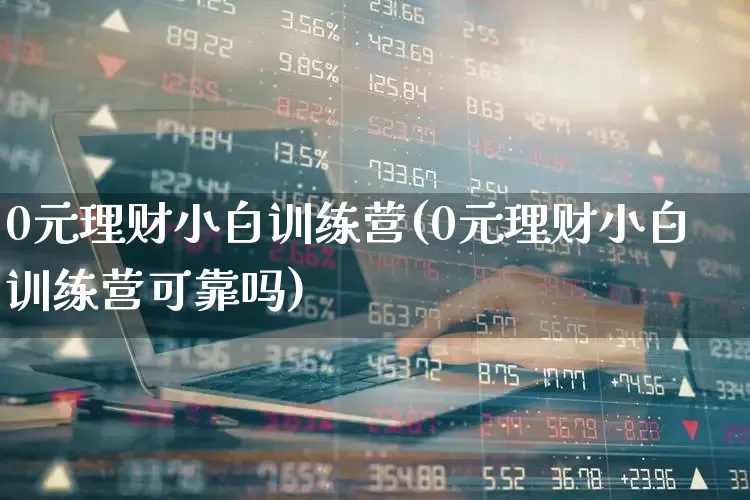 0元理财小白训练营(0元理财小白训练营可靠吗)_https://www.wanyuyiyao.com_创业板_第1张