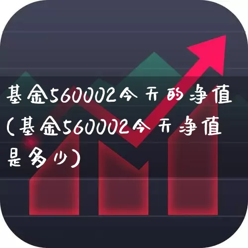 基金560002今天的净值(基金560002今天净值是多少)_https://www.wanyuyiyao.com_深交所_第1张