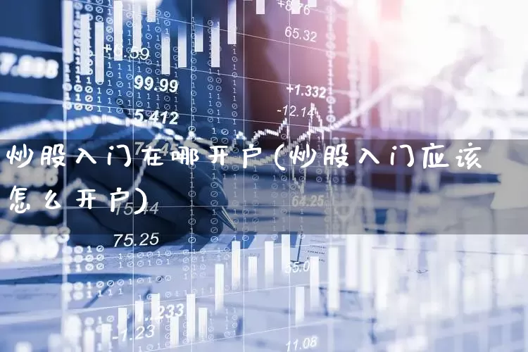 炒股入门在哪开户(炒股入门应该怎么开户)_https://www.wanyuyiyao.com_北交所_第1张