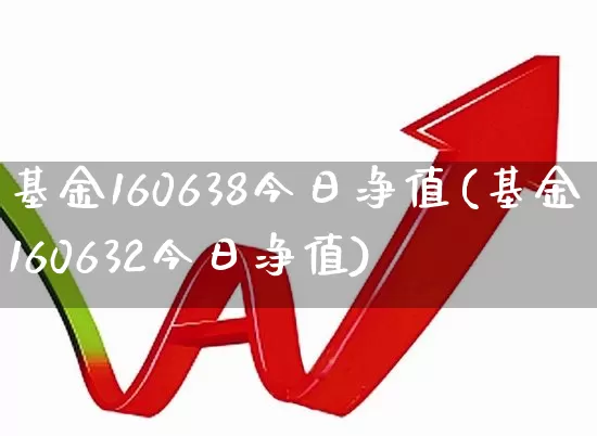 基金160638今日净值(基金160632今日净值)_https://www.wanyuyiyao.com_北交所_第1张