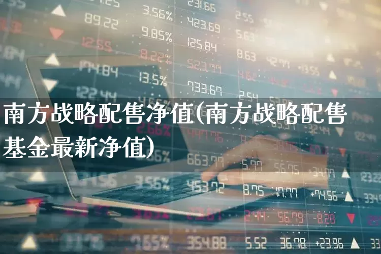 南方战略配售净值(南方战略配售基金最新净值)_https://www.wanyuyiyao.com_创业板_第1张