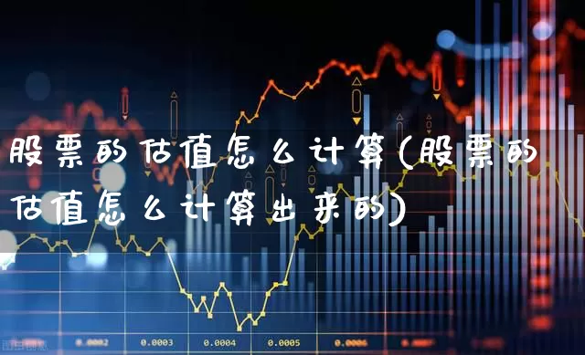 股票的估值怎么计算(股票的估值怎么计算出来的)_https://www.wanyuyiyao.com_科创板_第1张