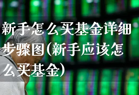 新手怎么买基金详细步骤图(新手应该怎么买基金)_https://www.wanyuyiyao.com_北交所_第1张