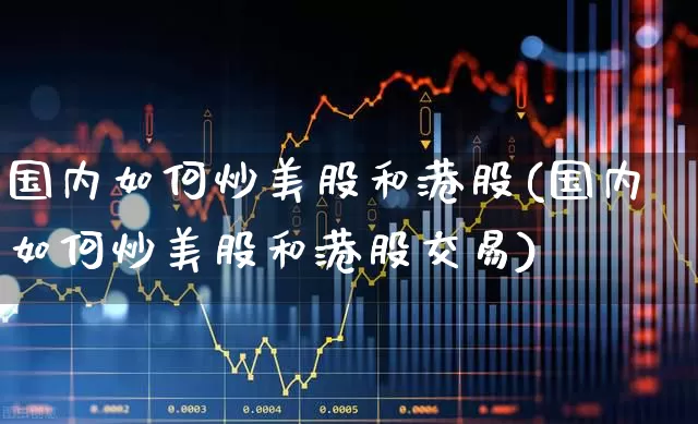 国内如何炒美股和港股(国内如何炒美股和港股交易)_https://www.wanyuyiyao.com_北交所_第1张