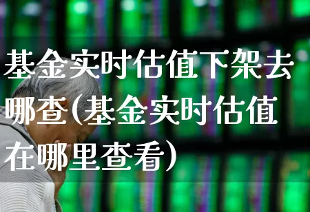 基金实时估值下架去哪查(基金实时估值在哪里查看)_https://www.wanyuyiyao.com_上交所_第1张