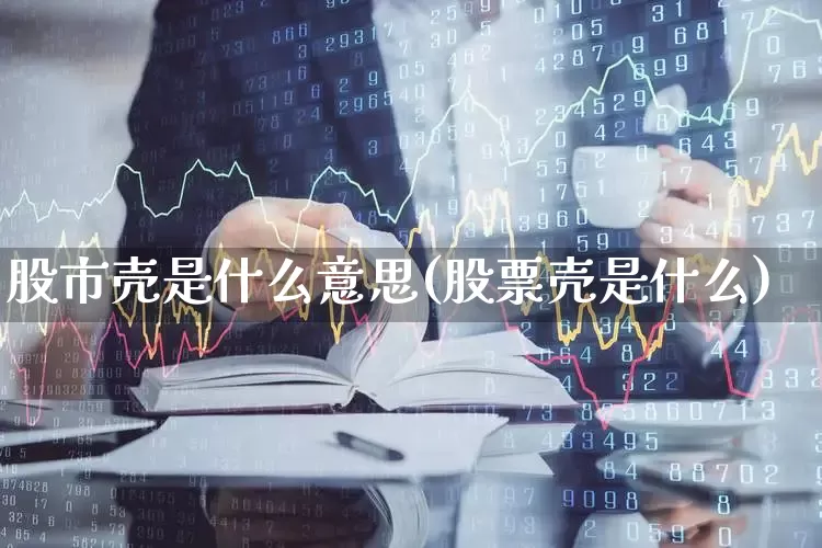 股市壳是什么意思(股票壳是什么)_https://www.wanyuyiyao.com_北交所_第1张
