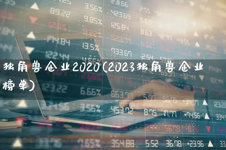 独角兽企业2020(2023独角兽企业榜单)_https://www.wanyuyiyao.com_创业板_第1张