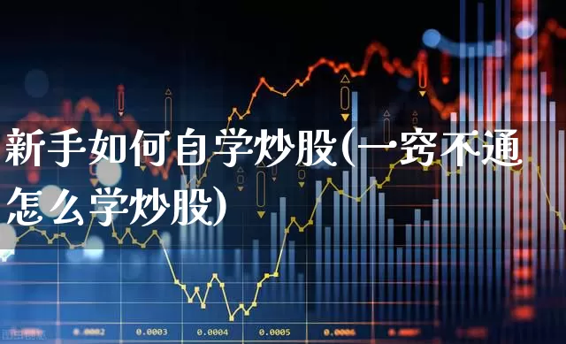 新手如何自学炒股(一窍不通怎么学炒股)_https://www.wanyuyiyao.com_深交所_第1张