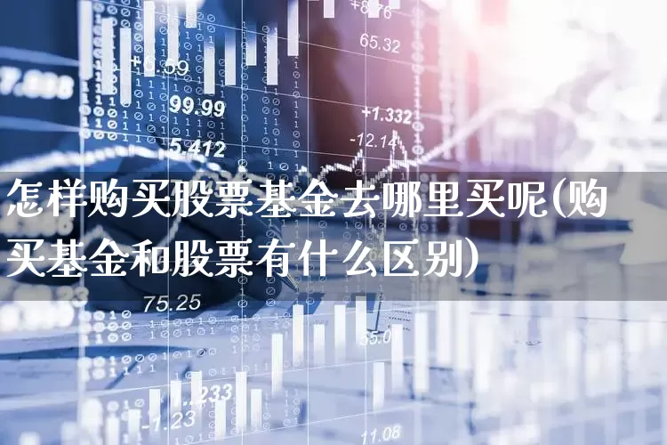 怎样购买股票基金去哪里买呢(购买基金和股票有什么区别)_https://www.wanyuyiyao.com_上交所_第1张