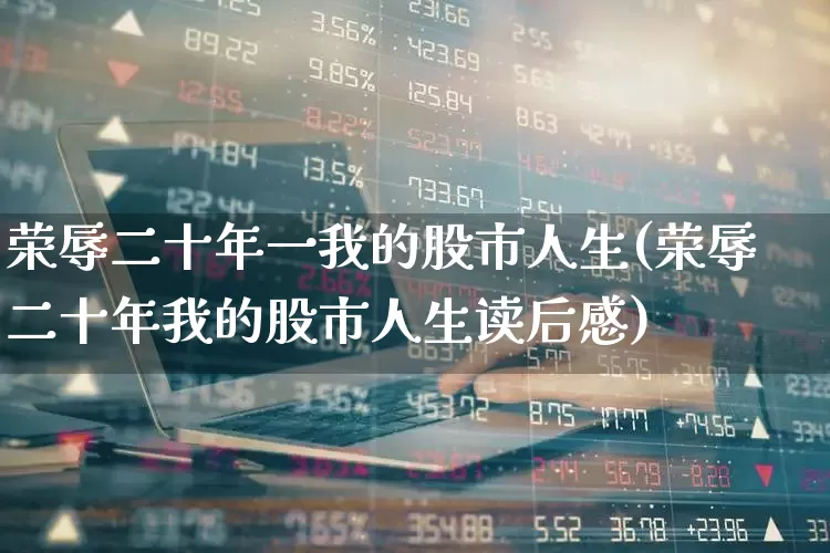 荣辱二十年一我的股市人生(荣辱二十年我的股市人生读后感)_https://www.wanyuyiyao.com_北交所_第1张