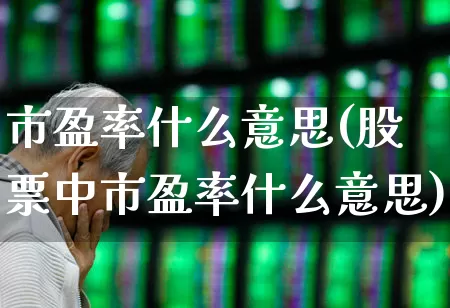 市盈率什么意思(股票中市盈率什么意思)_https://www.wanyuyiyao.com_上交所_第1张