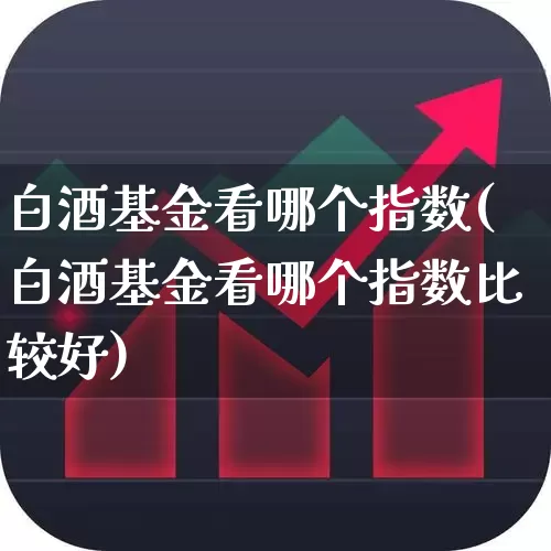 白酒基金看哪个指数(白酒基金看哪个指数比较好)_https://www.wanyuyiyao.com_上交所_第1张