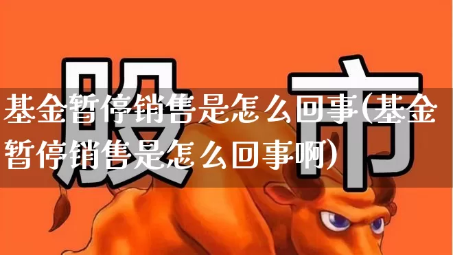 基金暂停销售是怎么回事(基金暂停销售是怎么回事啊)_https://www.wanyuyiyao.com_科创板_第1张