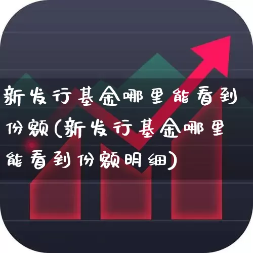 新发行基金哪里能看到份额(新发行基金哪里能看到份额明细)_https://www.wanyuyiyao.com_上交所_第1张