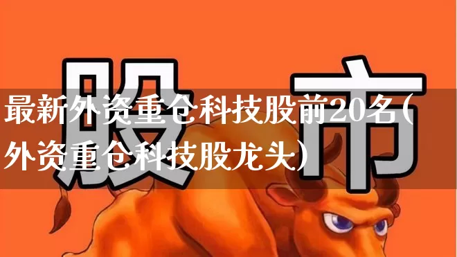 最新外资重仓科技股前20名(外资重仓科技股龙头)_https://www.wanyuyiyao.com_北交所_第1张