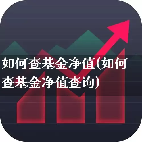 如何查基金净值(如何查基金净值查询)_https://www.wanyuyiyao.com_创业板_第1张