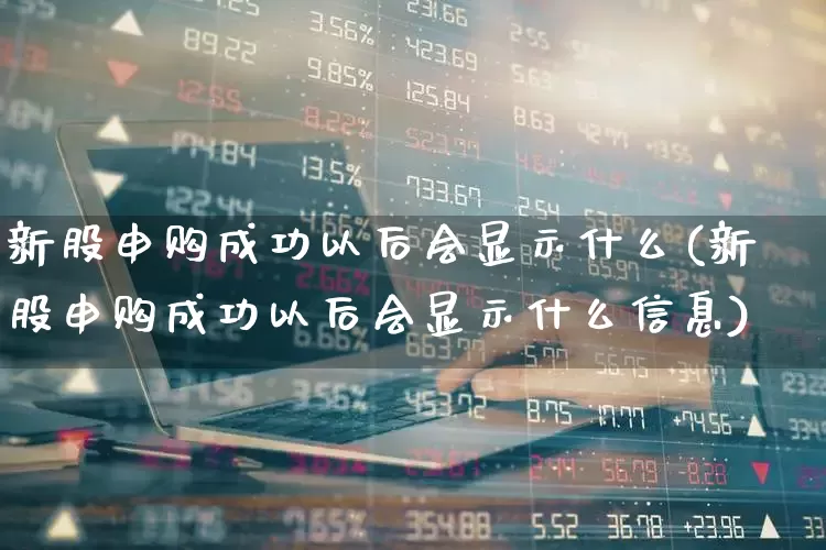 新股申购成功以后会显示什么(新股申购成功以后会显示什么信息)_https://www.wanyuyiyao.com_创业板_第1张