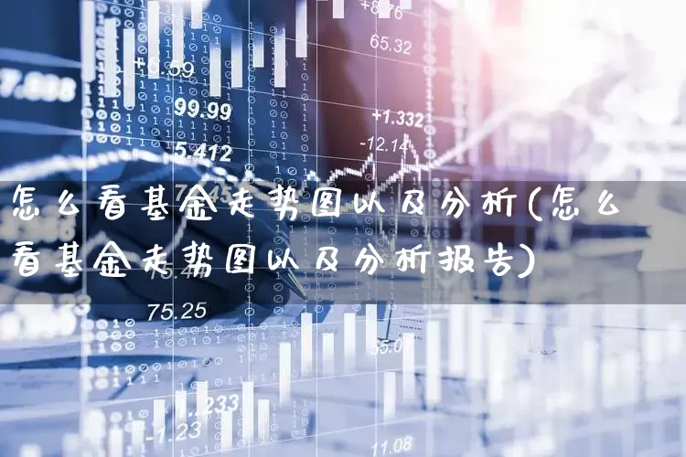 怎么看基金走势图以及分析(怎么看基金走势图以及分析报告)_https://www.wanyuyiyao.com_创业板_第1张