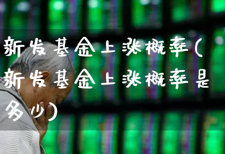 新发基金上涨概率(新发基金上涨概率是多少)_https://www.wanyuyiyao.com_深交所_第1张