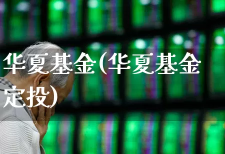 华夏基金(华夏基金定投)_https://www.wanyuyiyao.com_上交所_第1张