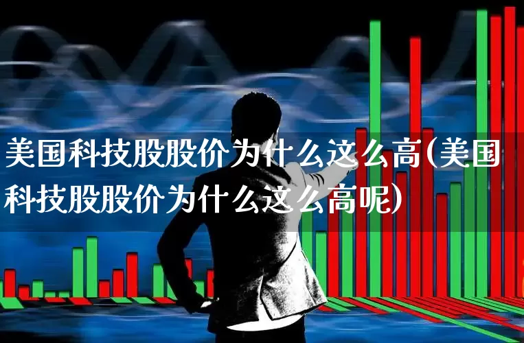 美国科技股股价为什么这么高(美国科技股股价为什么这么高呢)_https://www.wanyuyiyao.com_上交所_第1张