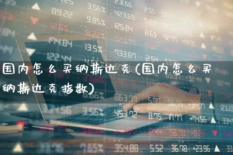 国内怎么买纳斯达克(国内怎么买纳斯达克指数)_https://www.wanyuyiyao.com_科创板_第1张