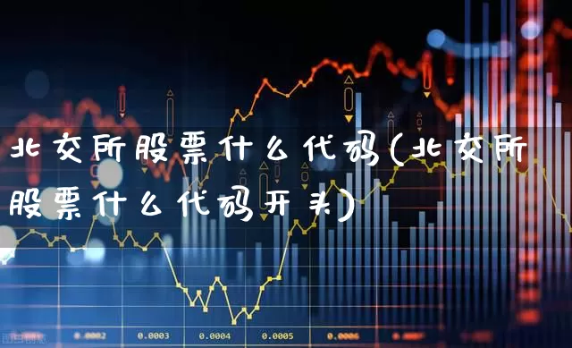 北交所股票什么代码(北交所股票什么代码开头)_https://www.wanyuyiyao.com_北交所_第1张