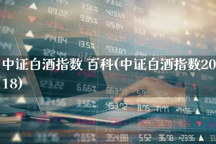 中证白酒指数 百科(中证白酒指数2018)_https://www.wanyuyiyao.com_深交所_第1张