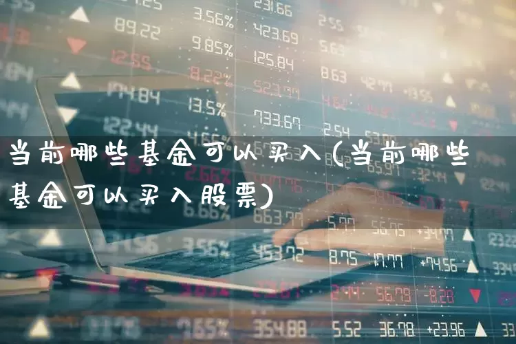 当前哪些基金可以买入(当前哪些基金可以买入股票)_https://www.wanyuyiyao.com_科创板_第1张