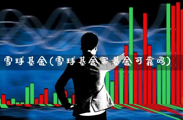 雪球基金(雪球基金买基金可靠吗)_https://www.wanyuyiyao.com_科创板_第1张