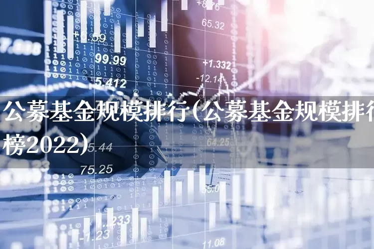公募基金规模排行(公募基金规模排行榜2022)_https://www.wanyuyiyao.com_上交所_第1张