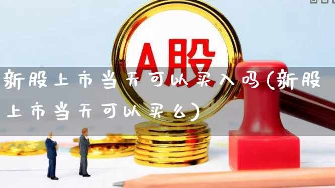 新股上市当天可以买入吗(新股上市当天可以买么)_https://www.wanyuyiyao.com_上交所_第1张