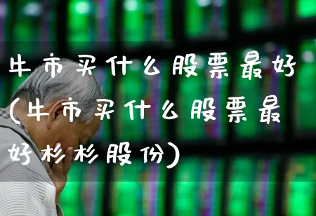 牛市买什么股票最好(牛市买什么股票最好杉杉股份)_https://www.wanyuyiyao.com_创业板_第1张