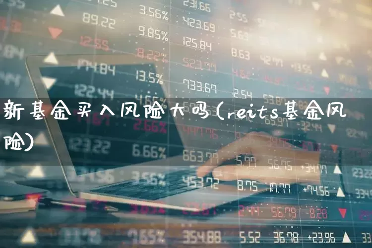 新基金买入风险大吗(reits基金风险)_https://www.wanyuyiyao.com_北交所_第1张