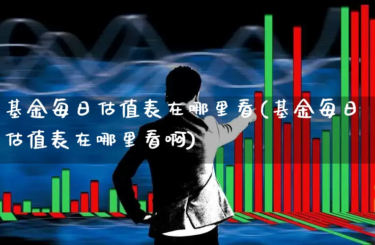 基金每日估值表在哪里看(基金每日估值表在哪里看啊)_https://www.wanyuyiyao.com_科创板_第1张
