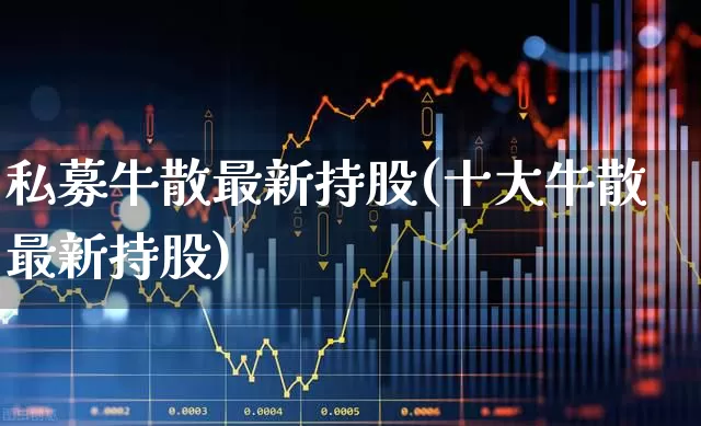 私募牛散最新持股(十大牛散最新持股)_https://www.wanyuyiyao.com_创业板_第1张