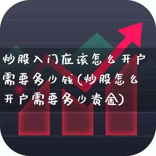 炒股入门应该怎么开户需要多少钱(炒股怎么开户需要多少资金)_https://www.wanyuyiyao.com_科创板_第1张