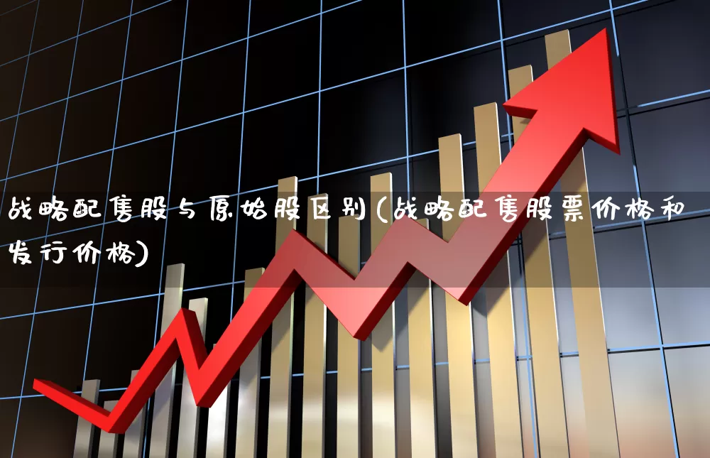 战略配售股与原始股区别(战略配售股票价格和发行价格)_https://www.wanyuyiyao.com_科创板_第1张