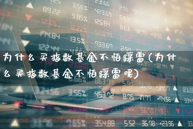 为什么买指数基金不怕踩雷(为什么买指数基金不怕踩雷呢)_https://www.wanyuyiyao.com_创业板_第1张