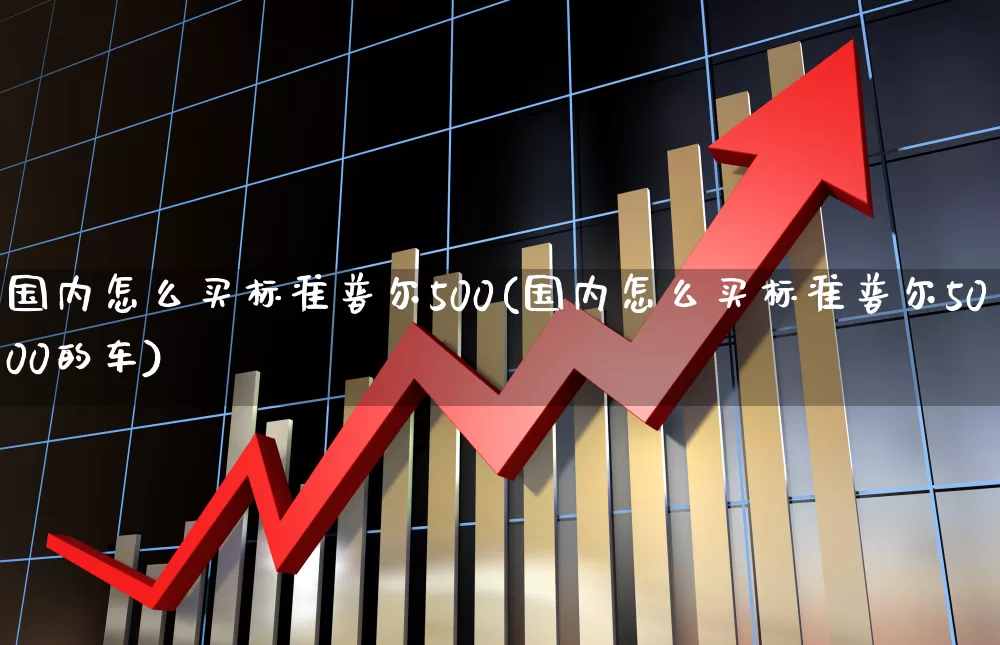 国内怎么买标准普尔500(国内怎么买标准普尔5000的车)_https://www.wanyuyiyao.com_上交所_第1张