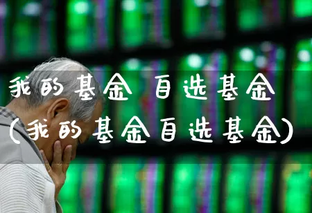 我的基金 自选基金(我的基金自选基金)_https://www.wanyuyiyao.com_创业板_第1张
