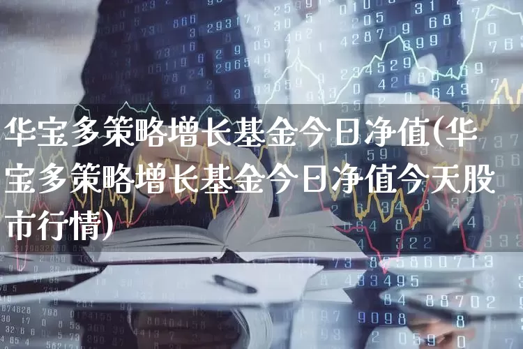 华宝多策略增长基金今日净值(华宝多策略增长基金今日净值今天股市行情)_https://www.wanyuyiyao.com_科创板_第1张