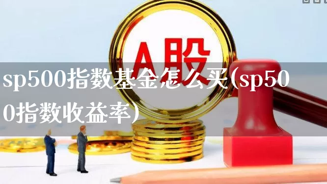 sp500指数基金怎么买(sp500指数收益率)_https://www.wanyuyiyao.com_科创板_第1张
