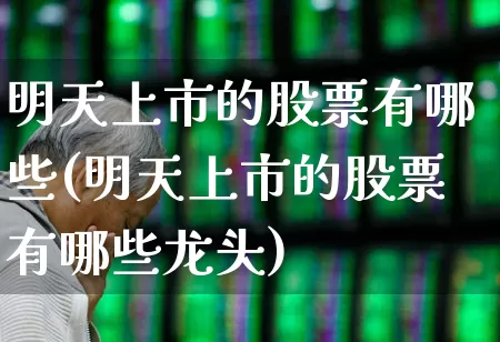 明天上市的股票有哪些(明天上市的股票有哪些龙头)_https://www.wanyuyiyao.com_深交所_第1张