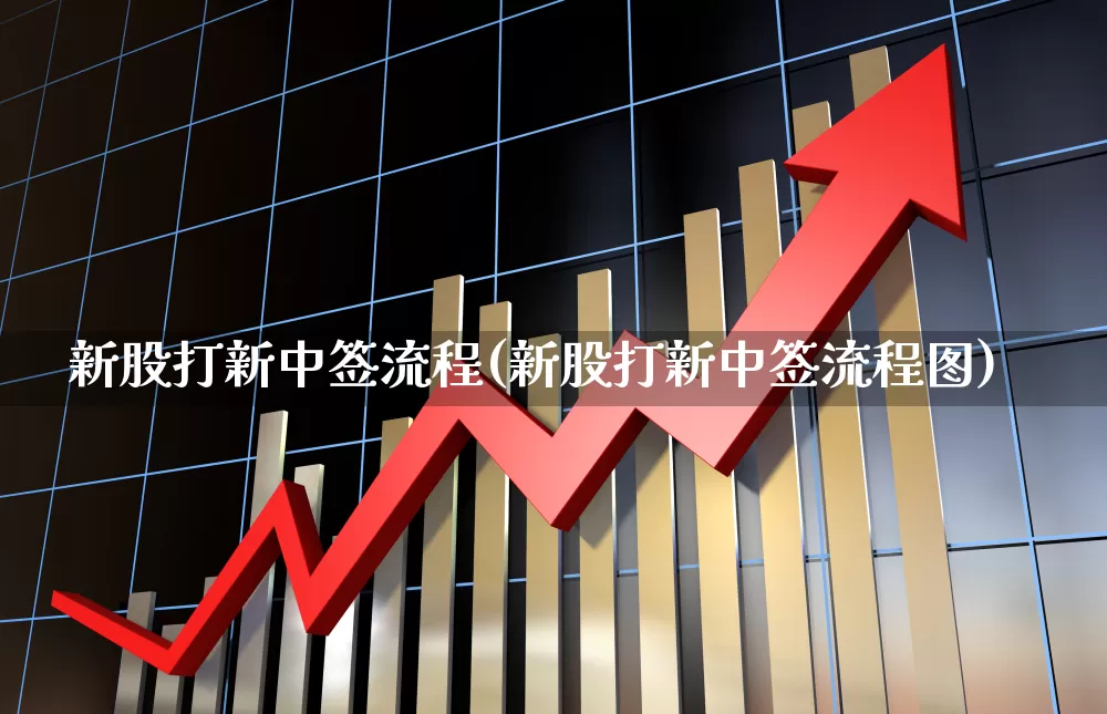 新股打新中签流程(新股打新中签流程图)_https://www.wanyuyiyao.com_创业板_第1张
