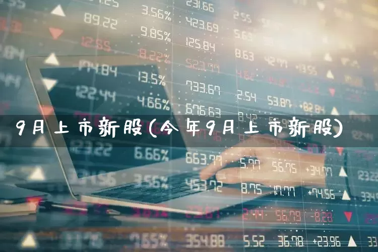 9月上市新股(今年9月上市新股)_https://www.wanyuyiyao.com_北交所_第1张