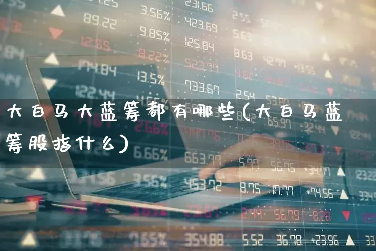 大白马大蓝筹都有哪些(大白马蓝筹股指什么)_https://www.wanyuyiyao.com_北交所_第1张