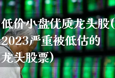 低价小盘优质龙头股(2023严重被低估的龙头股票)_https://www.wanyuyiyao.com_创业板_第1张