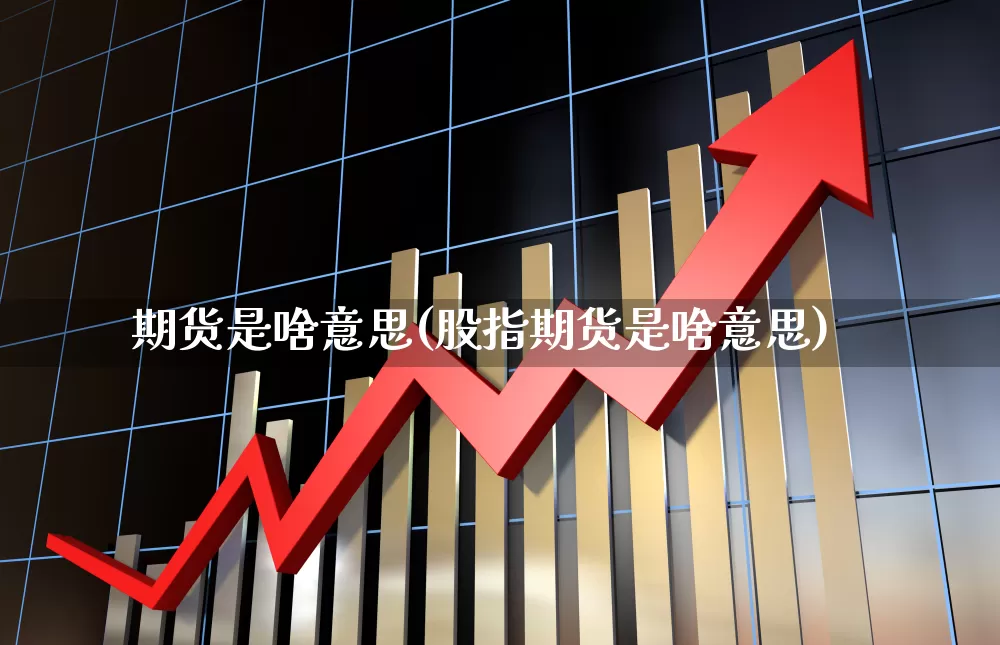 期货是啥意思(股指期货是啥意思)_https://www.wanyuyiyao.com_创业板_第1张