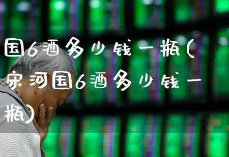 国6酒多少钱一瓶(宋河国6酒多少钱一瓶)_https://www.wanyuyiyao.com_科创板_第1张